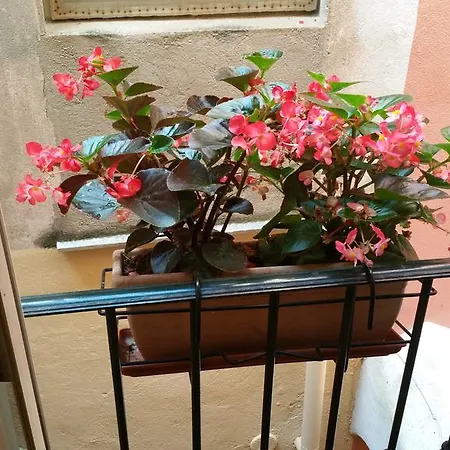 Torre Dei Gabbiani Apartmán *